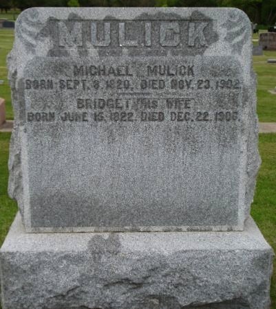 MULICK, MICHAEL - Mitchell County, Iowa | MICHAEL MULICK 