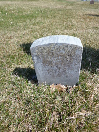 NEWCOMB, HENRY - Mitchell County, Iowa | HENRY NEWCOMB 