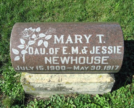 NEWHOUSE, MARY T. - Mitchell County, Iowa | MARY T. NEWHOUSE 
