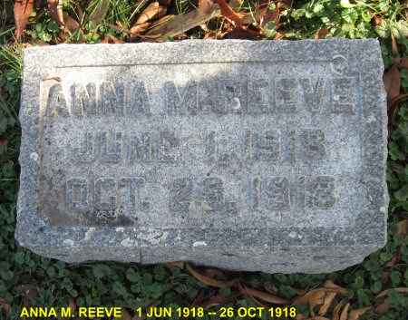 REEVE, ANNA M. - Mitchell County, Iowa | ANNA M. REEVE 