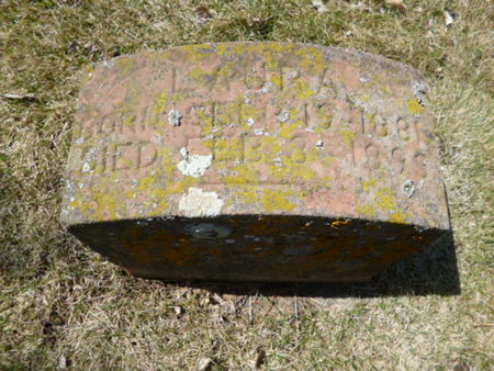 SHEEHAN, LAURA - Mitchell County, Iowa | LAURA SHEEHAN 