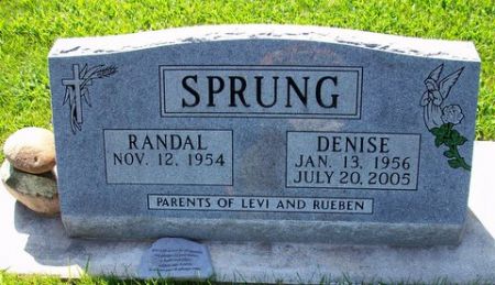 SPRUNG, DENISE (BROWN) - Mitchell County, Iowa | DENISE (BROWN) SPRUNG 