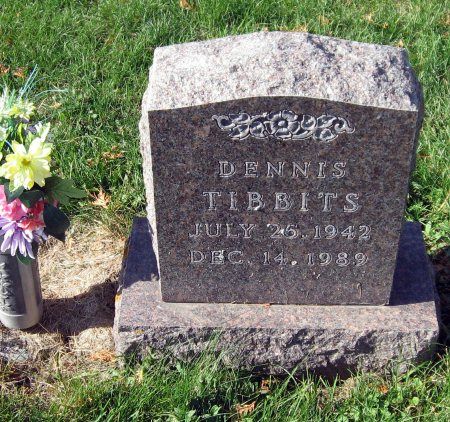 TIBBITS, DENNIS - Mitchell County, Iowa | DENNIS TIBBITS 