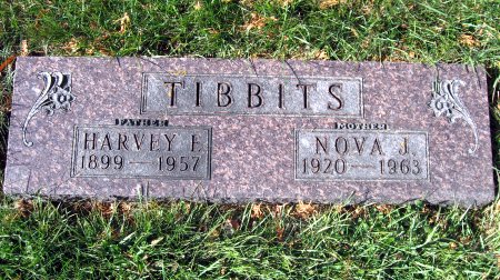 TIBBITS, HARVEY EUGENE - Mitchell County, Iowa | HARVEY EUGENE TIBBITS 