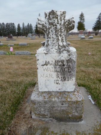 WALLACE, JAMES - Mitchell County, Iowa | JAMES WALLACE 