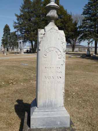 WARREN, PHEBE ANN - Mitchell County, Iowa | PHEBE ANN WARREN 