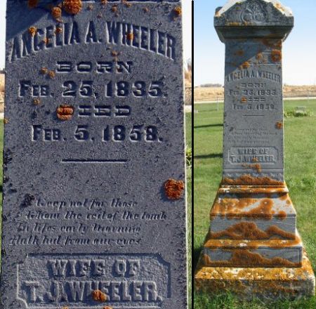 WHEELER, ANGELIA A. - Mitchell County, Iowa | ANGELIA A. WHEELER 