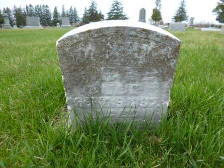 WHITE, DAVID - Mitchell County, Iowa | DAVID WHITE 