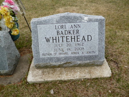 WHITEHEAD, LORI ANN - Mitchell County, Iowa | LORI ANN WHITEHEAD 