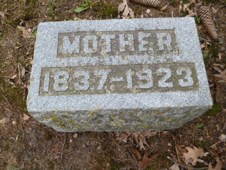 WILLARD, MOTHER - Mitchell County, Iowa | MOTHER WILLARD 