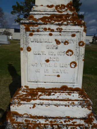 YAUNEY, WILLIAM - Mitchell County, Iowa | WILLIAM YAUNEY 