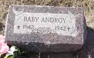 ANDROY, BABY (FEMALE TWIN) - Monona County, Iowa | BABY (FEMALE TWIN) ANDROY 