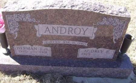 ANDROY, HERMAN JR - Monona County, Iowa | HERMAN JR ANDROY 