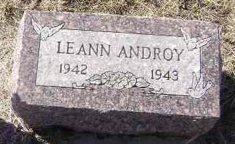 ANDROY, LEANN MAY - Monona County, Iowa | LEANN MAY ANDROY 