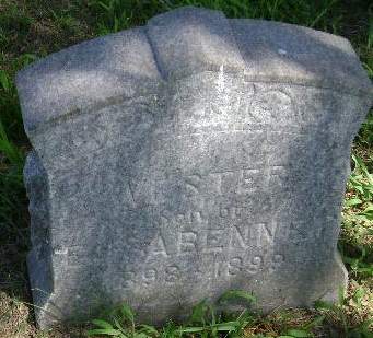 BENNET, VESTER - Monona County, Iowa | VESTER BENNET 