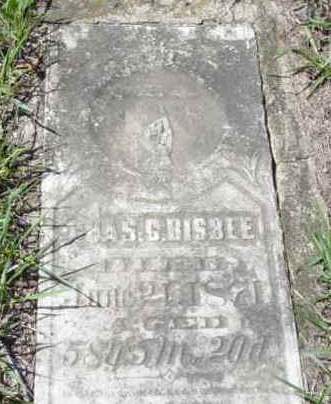 BISBEE, CHAS C - Monona County, Iowa | CHAS C BISBEE 