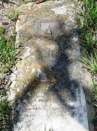 BISBEE, EUNICE M - Monona County, Iowa | EUNICE M BISBEE 