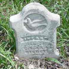 BISBEE, INFANT - Monona County, Iowa | INFANT BISBEE 