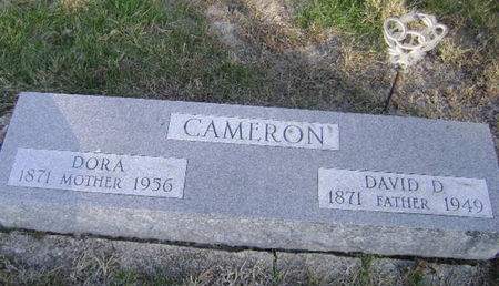 CAMERON, DAVID DENNIS - Monona County, Iowa | DAVID DENNIS CAMERON 
