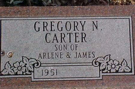 CARTER, GREGORY N - Monona County, Iowa | GREGORY N CARTER 