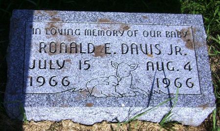 DAVIS, RONALD E JR - Monona County, Iowa | RONALD E JR DAVIS 
