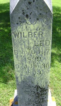 DAVIS, WILBER LEO - Monona County, Iowa | WILBER LEO DAVIS 