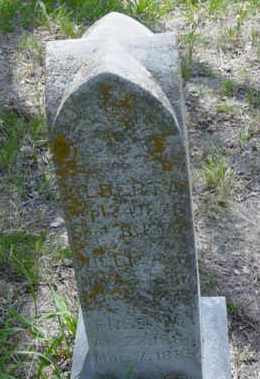 DIDDY, ALBERA - Monona County, Iowa | ALBERA DIDDY 