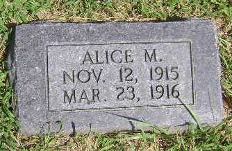 DIDDY, ALICE M - Monona County, Iowa | ALICE M DIDDY 