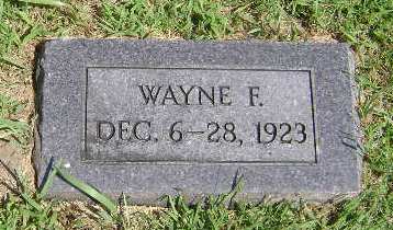 DIDDY, WAYNE F - Monona County, Iowa | WAYNE F DIDDY 