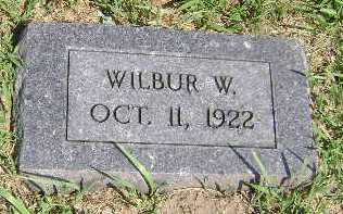 DIDDY, WILBUR W - Monona County, Iowa | WILBUR W DIDDY 