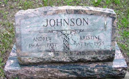 JOHNSON, ANDREW - Monona County, Iowa | ANDREW JOHNSON 