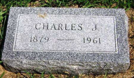 JOHNSON, CHARLES J - Monona County, Iowa | CHARLES J JOHNSON 