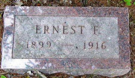 JOHNSON, ERNEST F - Monona County, Iowa | ERNEST F JOHNSON 