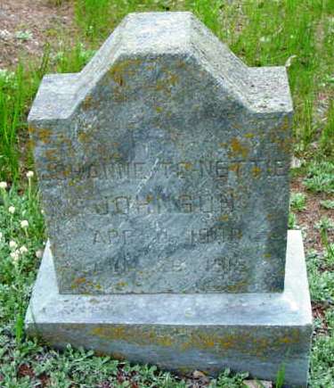 JOHNSON, JOHANNE NETTIE - Monona County, Iowa | JOHANNE NETTIE JOHNSON 