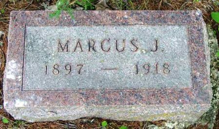 JOHNSON, MARCUS - Monona County, Iowa | MARCUS JOHNSON 