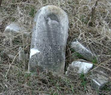 MCGEE, GEORGE - Monona County, Iowa | GEORGE MCGEE 