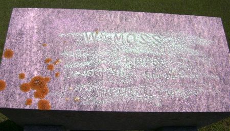 MOSS, EVILA - Monona County, Iowa | EVILA MOSS 