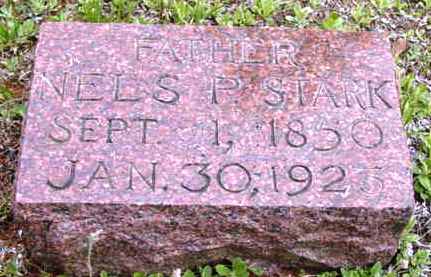 STARK, NELS P - Monona County, Iowa | NELS P STARK 