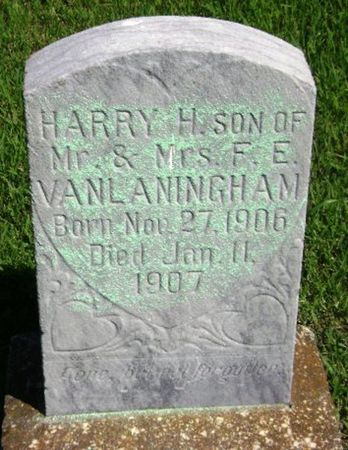 VANLANINGHAM, HARRY H - Monona County, Iowa | HARRY H VANLANINGHAM 