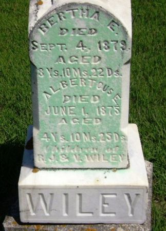WILEY, ALBERTOUS E - Monona County, Iowa | ALBERTOUS E WILEY 
