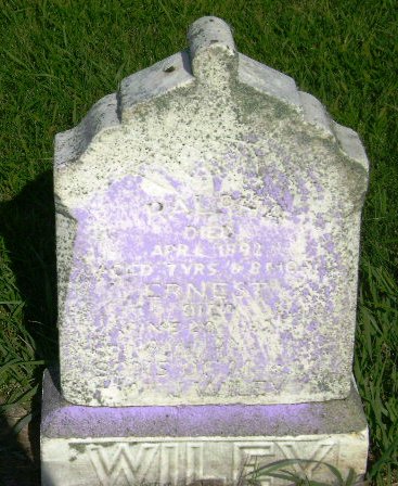 WILEY, ERNEST - Monona County, Iowa | ERNEST WILEY 