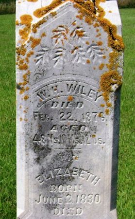 WILEY, ELIZABETH - Monona County, Iowa | ELIZABETH WILEY 