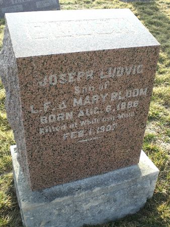 BLOOM, JOSEPH LUDVIG - Monroe County, Iowa | JOSEPH LUDVIG BLOOM 