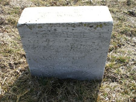 BRUERE, J. WILLIE - Monroe County, Iowa | J. WILLIE BRUERE 