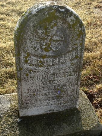 CHIDESTER, LUVINNA J. - Monroe County, Iowa | LUVINNA J. CHIDESTER 