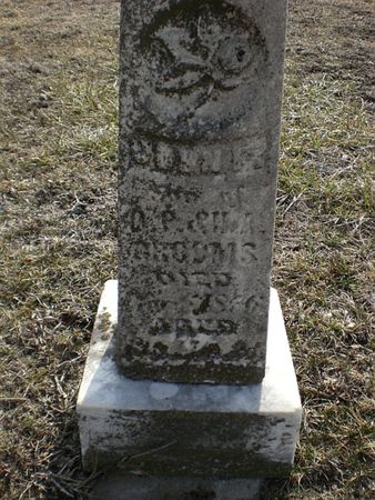 GROOMS, JOHN F. - Monroe County, Iowa | JOHN F. GROOMS 