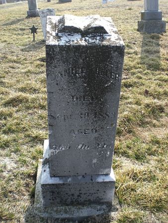 MILLER, DANIEL - Monroe County, Iowa | DANIEL MILLER 