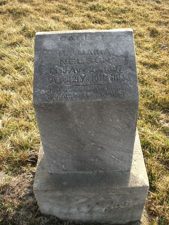 NELSON, CARL J. - Monroe County, Iowa | CARL J. NELSON 