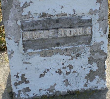 SKINNER, CHARLES - Monroe County, Iowa | CHARLES SKINNER 