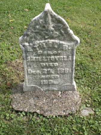 TOVREA, ETHEL B. - Monroe County, Iowa | ETHEL B. TOVREA 